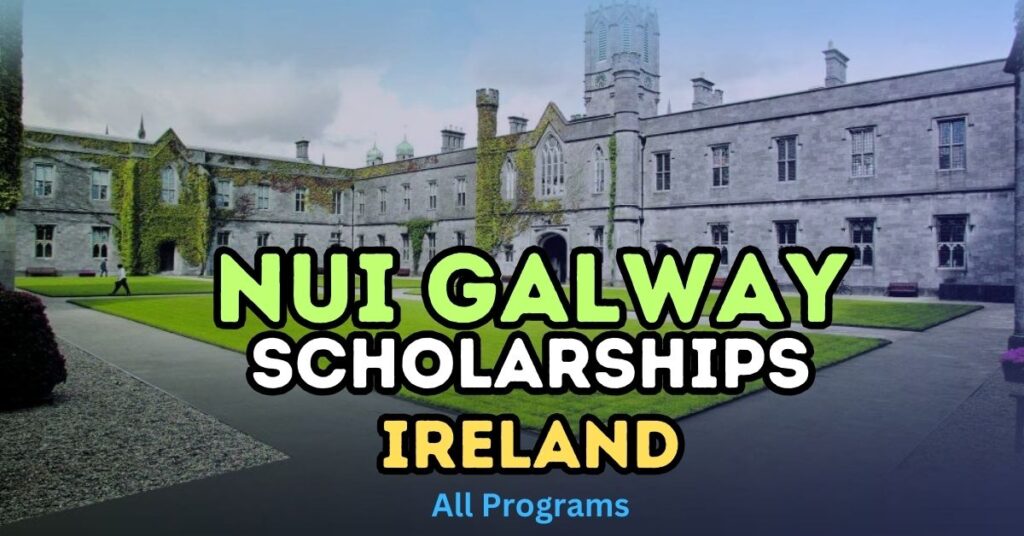 NUI Galway offers a range of scholarships to international students, aiming to support academic excellence and make quality education accessible. These scholarships are available for undergraduate, postgraduate, and PhD programs.