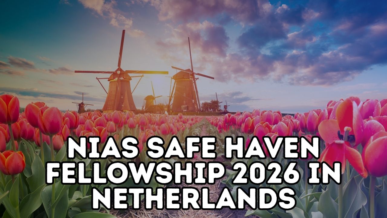NIAS Safe Haven Fellowship 2026 In Netherlands Everything You Need To 