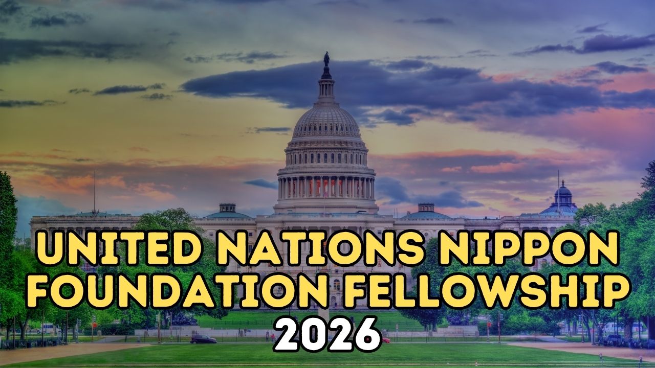 United Nations Nippon Foundation Fellowship 2026: Fully Funded ...